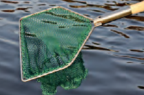 Articole piscicultura